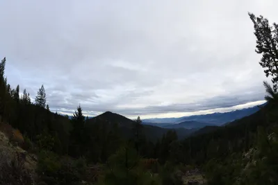 DSC_0085 (Large).JPG